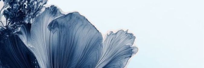 malunamoli's profile banner image
