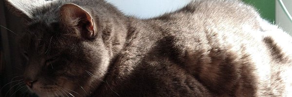 NerdyAlh85 Profile Banner
