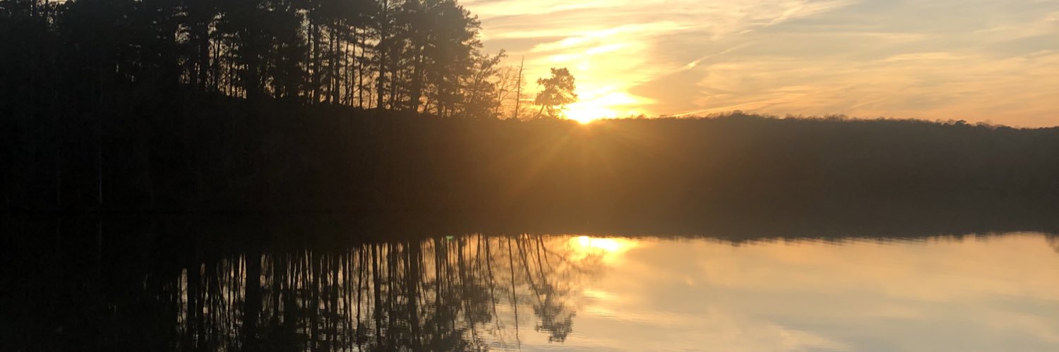 RoseRaleigh's profile banner image