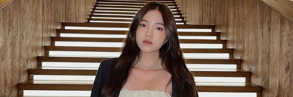 Bảo Anh Phạm banner