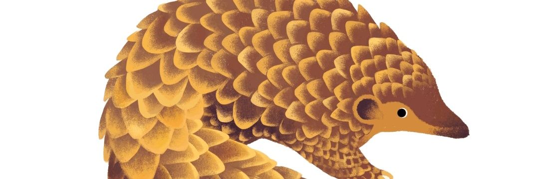 Tempat Mbacot banner