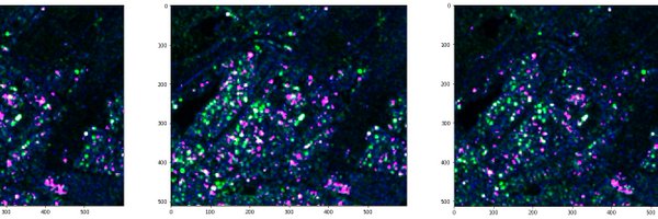 dvrnd Profile Banner