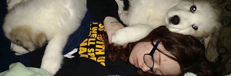 cherryPyrope's profile banner image