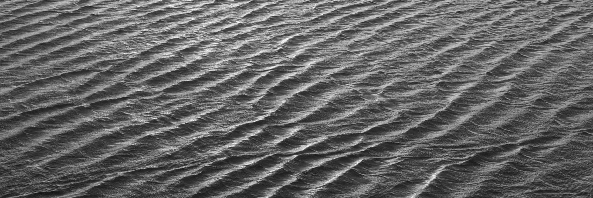 PATTERNITY banner