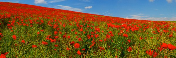 androgynyfiend Profile Banner