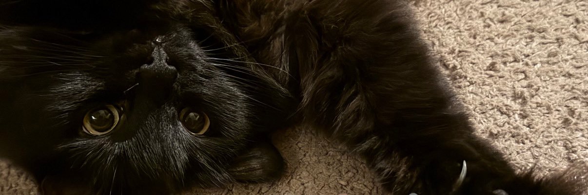 Thomas_theBrain's profile banner image