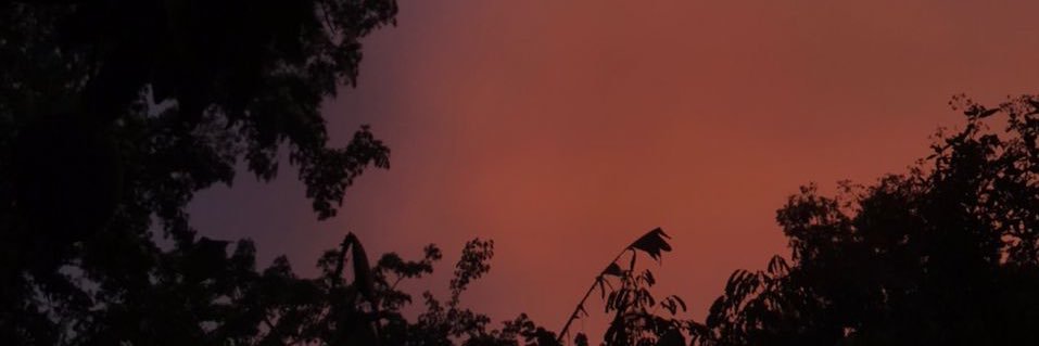 gee_shenka's profile banner image