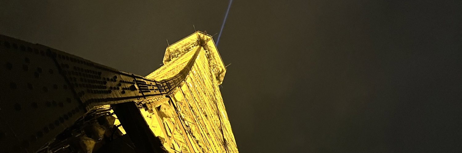 romanlili_'s profile banner image