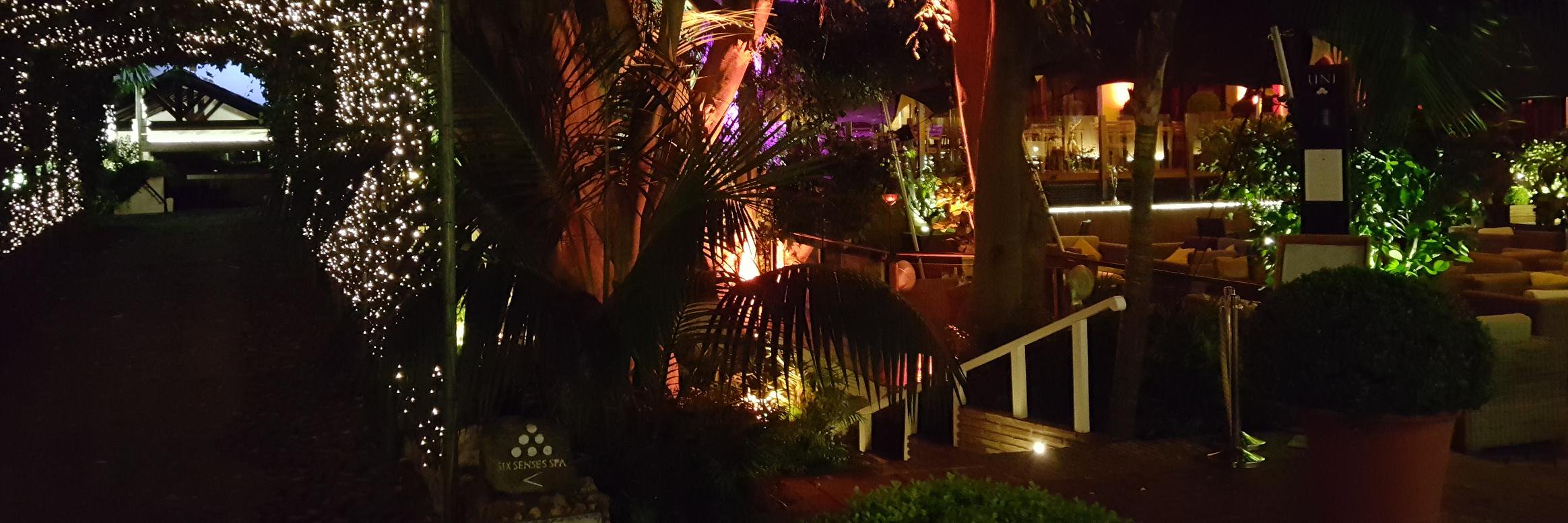 Javier Bellido banner