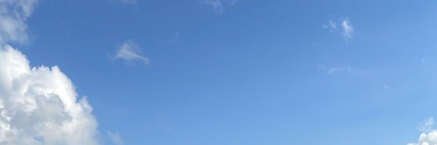 Vio banner