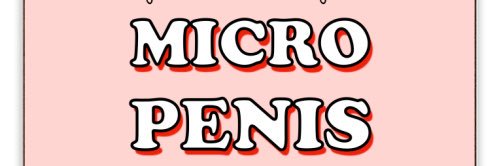 Genesis Madison banner