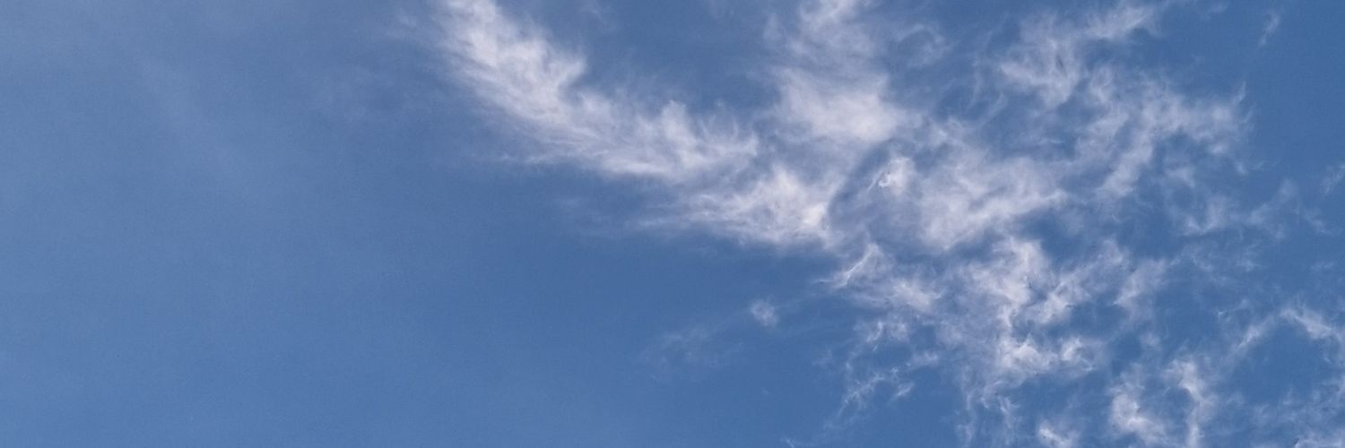 ayaa banner