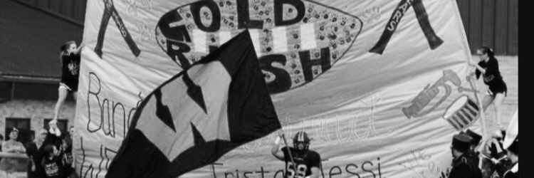 Dan_Flip's profile banner image
