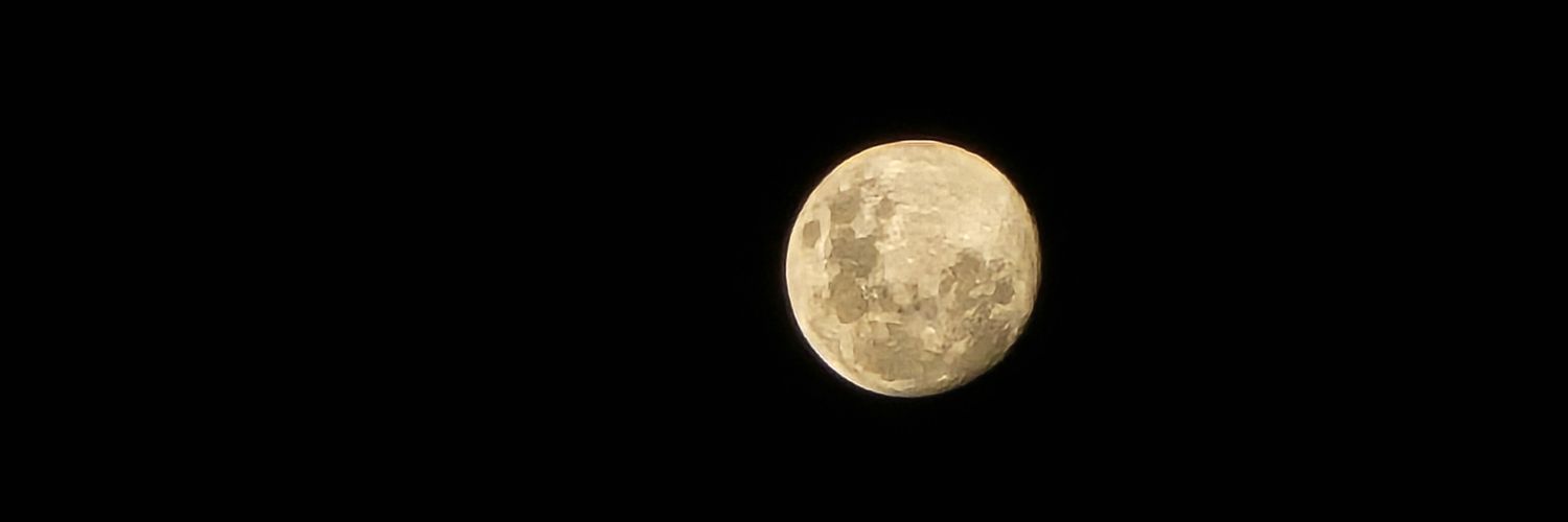 Mi mundo es único y solo mío. banner