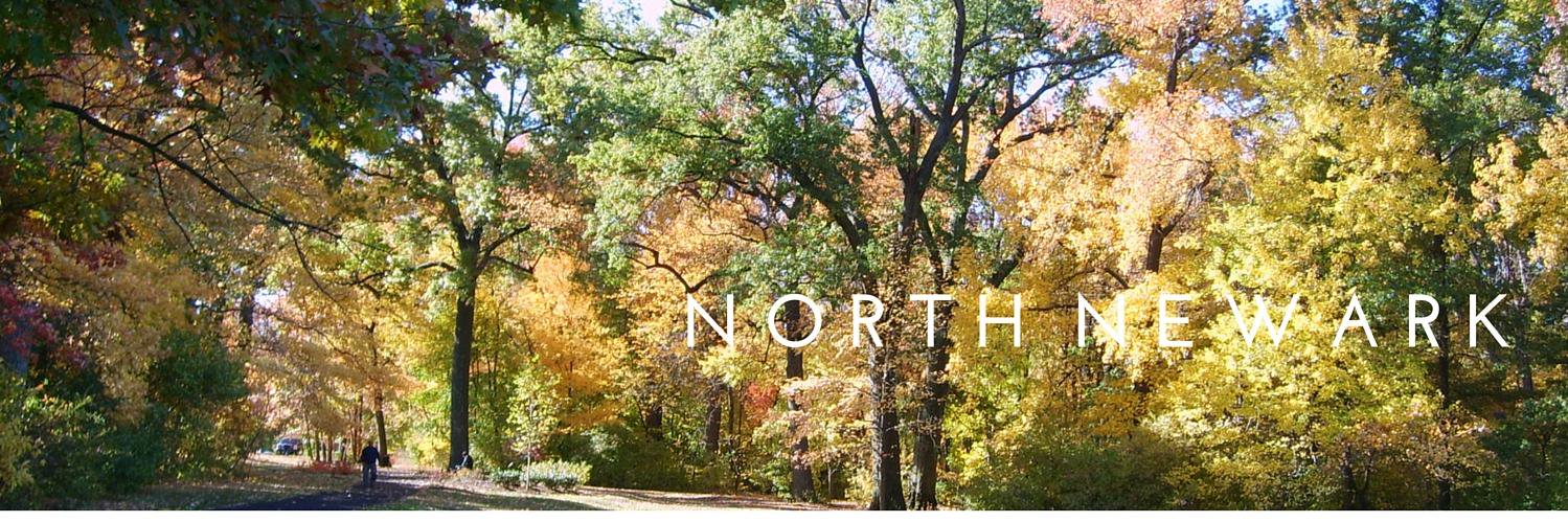 NorthNwkGem's profile banner image