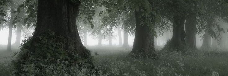 edenXQT's profile banner image