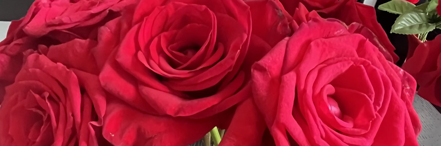 Lorelei S. García Trucco banner