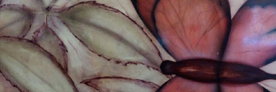 cenis29's profile banner image