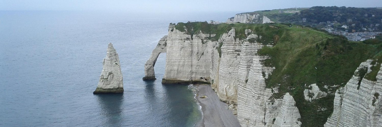 George Niculae banner