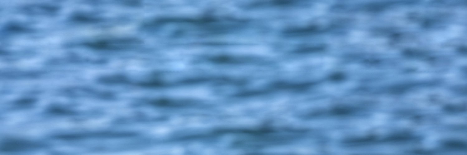 pramani0's profile banner image