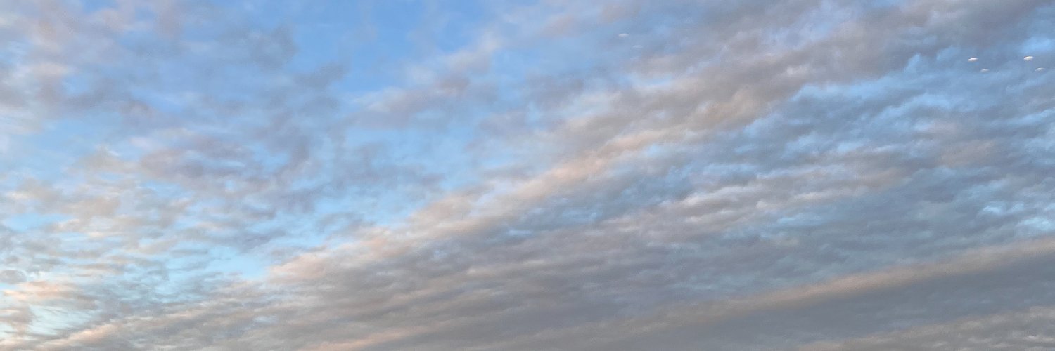 TaraJeanTJ's profile banner image