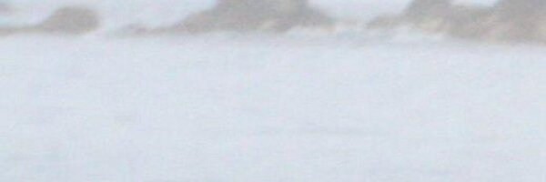 meganknight Profile Banner