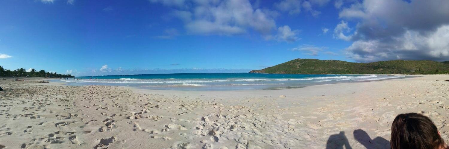 Samantha Abernethy banner