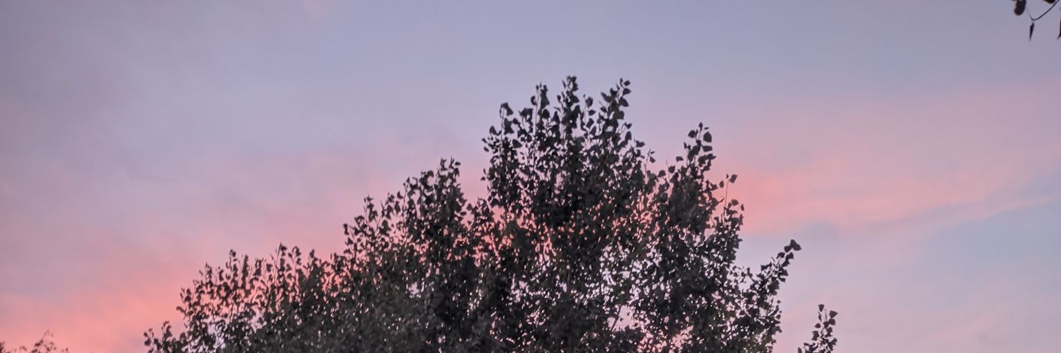 judellacroce's profile banner image