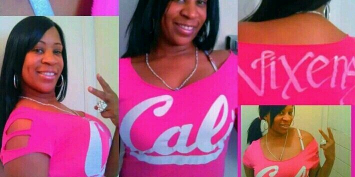 calivixens's profile banner image