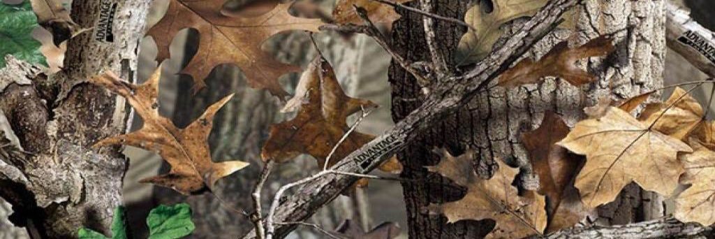 B_Cash95's profile banner image