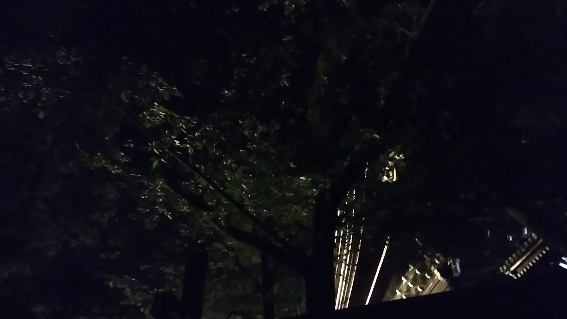 マジカルペンネくん🍝 banner