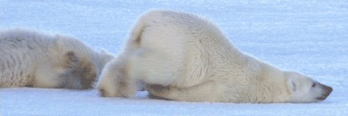 Sandy Stover-Nash banner