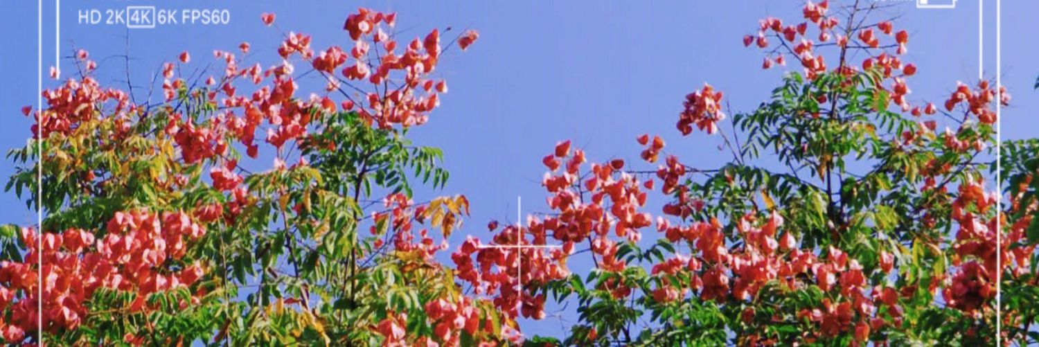 MyPrayer2's profile banner image