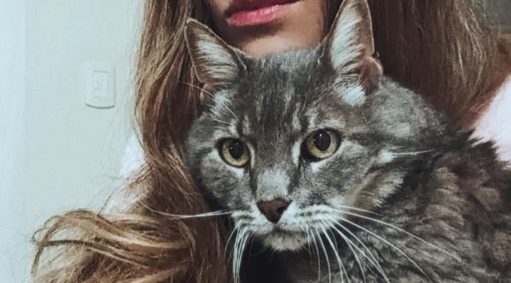 Virgin_Mz's profile banner image