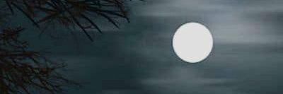 Alaa47834304's profile banner image