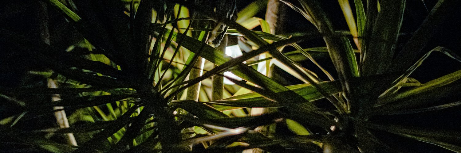 feriRodriguez's profile banner image