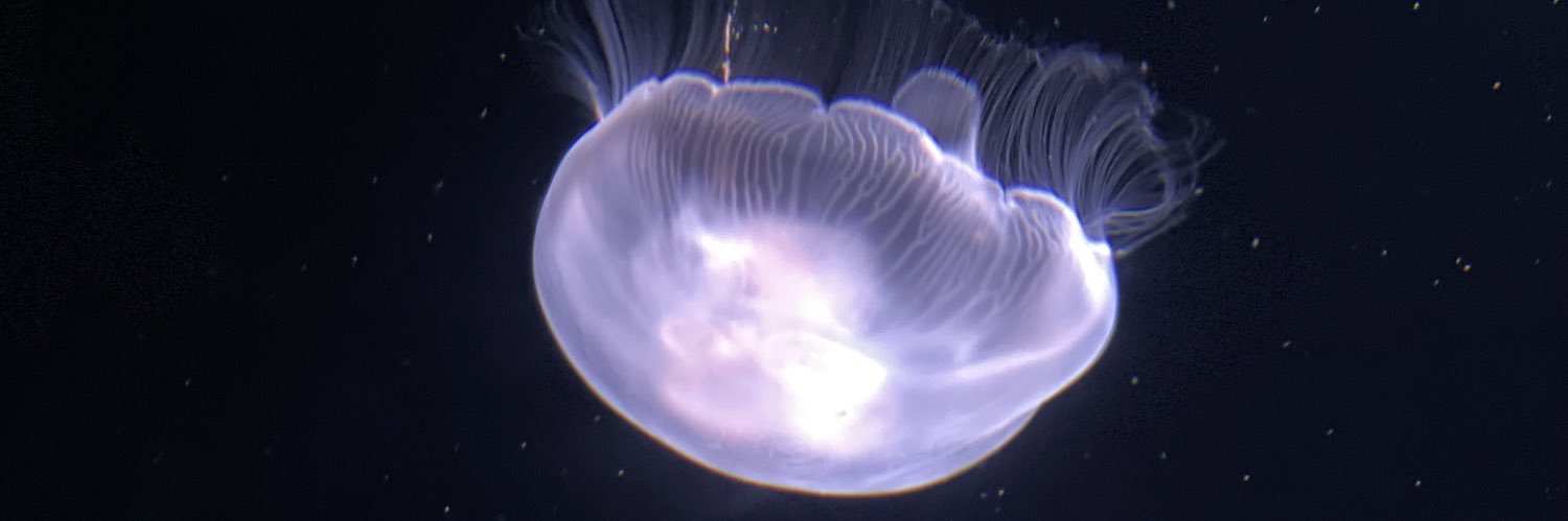 Dozzzx's profile banner image