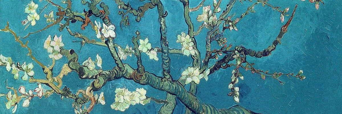 DanielaMottaC's profile banner image