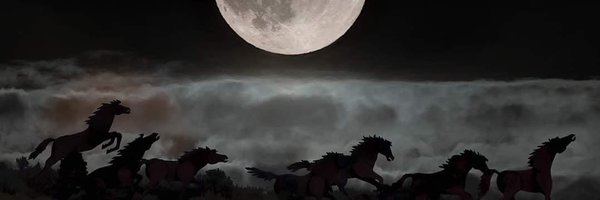 popohman Profile Banner