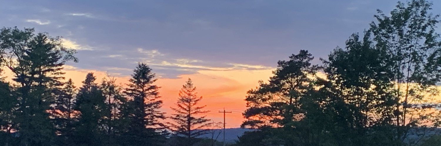AmyWindus's profile banner image