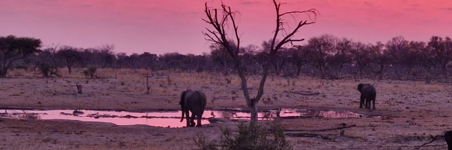 Kar van Cevitam banner