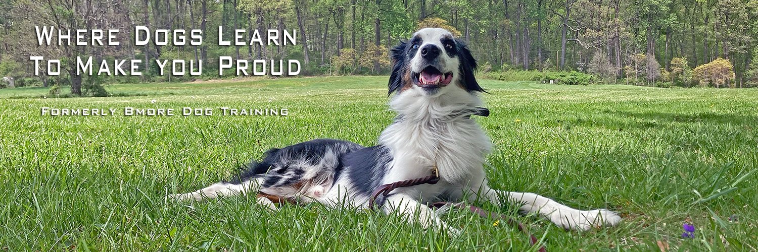 midatlanticdogs's profile banner image