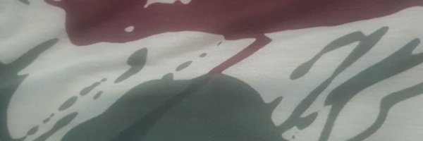 Bruce28483422 Profile Banner