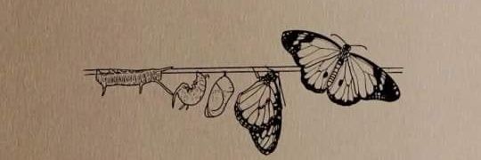 Mayar Khaled banner