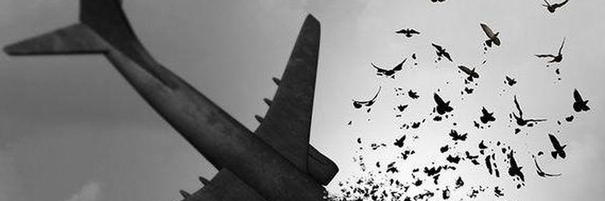 رویاهای مرده banner