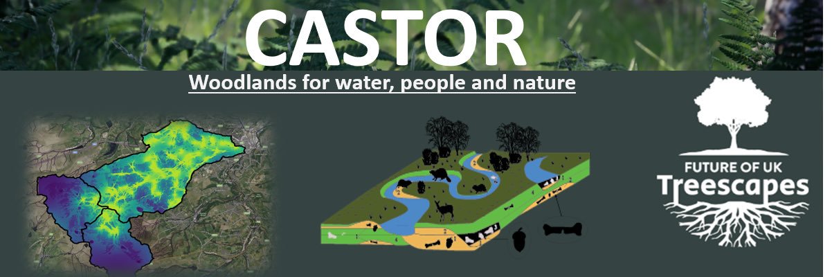 CASTOResearch's profile banner image