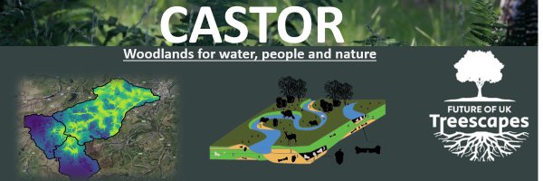 CASTOResearch Profile Banner