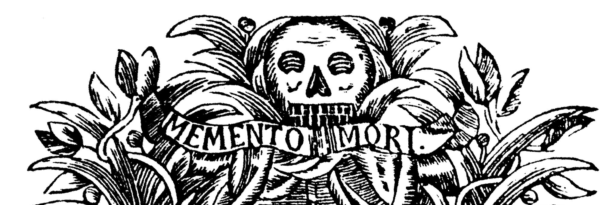 あさり 🗣🇯🇵🏴󠁧󠁢󠁥󠁮󠁧󠁿 📚🇪🇸🇫🇷🇵🇹 banner