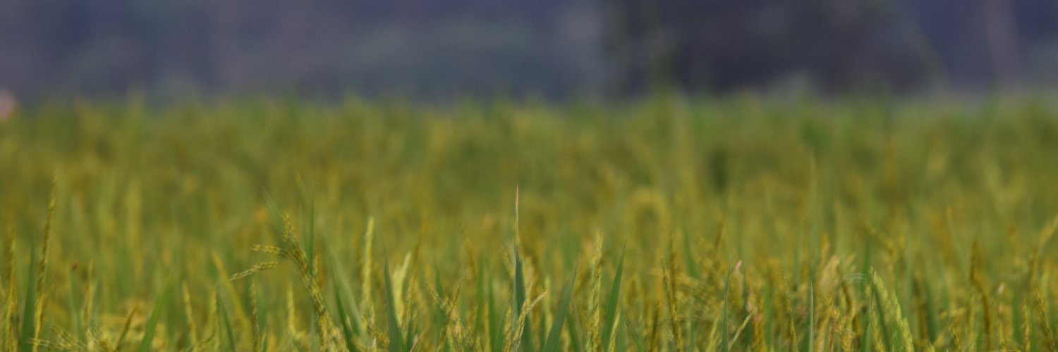 jestinjoy's profile banner image