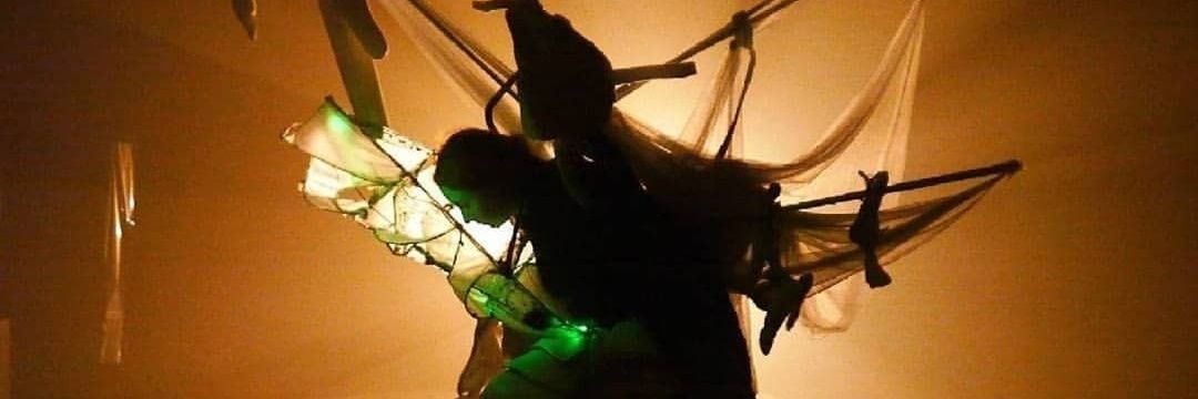 Berta Delgado banner